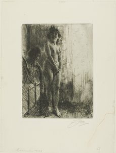 Eine dunkle Ecke von Anders Leonard Zorn