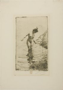 Wasserkreise II von Anders Zorn