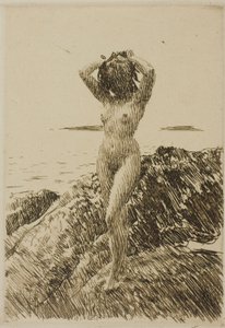 Hårstång (Seegras-Kranz)