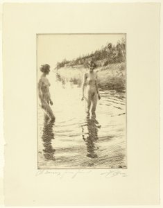 Flach von Anders Leonard Zorn