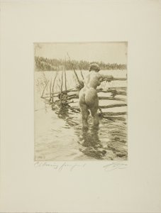 Der Zaun von Anders Leonard Zorn
