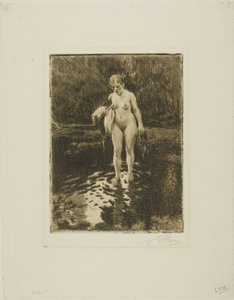 Die Furt von Anders Leonard Zorn