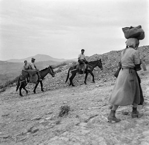 Bauern kehren von den Feldern in Lucania, Basilicata, Italien, zurück von Ando Gilardi