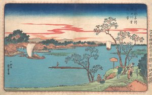 Ein Blick auf Kirschbäume am Sumida-Fluss