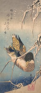 Eine Wildente an einem schneebedeckten Ufer, ca. 1843