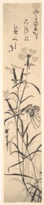 Schwarz-Weiß-Druck von Schmetterling und Blume einer Nelke