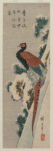 Kupferfasan am verschneiten Wasserfall, späte 1830er oder frühe 1840er Jahre