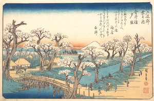 Abendglühen an der Koganei-Grenze, 19. Jahrhundert von Ando Hiroshige