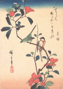 Japanische Weißaugen und Meise auf einem Kamelienzweig, ca. 1840