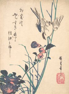 Großblütiger Flachsschnabel und Spatz, ca. 1833 von Ando Hiroshige