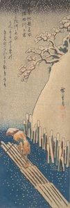 Schnee am Sumida-Fluss