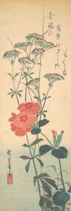 Prächtige Nelken und chinesische Agrimonie, ca. 1836