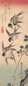 Schwalben und blühende Wildkirsche, ca. 1835 von Ando Hiroshige