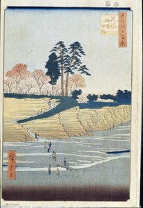 Palasthügel in Shinagawa (Hundert berühmte Ansichten von Edo) von Ando or Utagawa Hiroshige