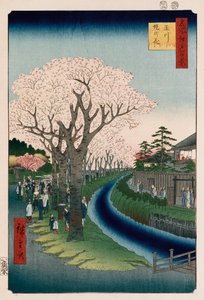 Kirschblüten, Tama-Flussufer von Ando or Utagawa Hiroshige