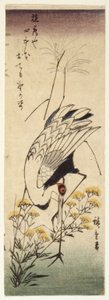 Kranich mit Wildem Senf von Ando or Utagawa Hiroshige