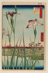 Horikiri Iris Garten von Ando or Utagawa Hiroshige