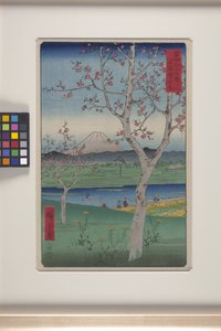 Koshigaya in der Provinz Musashi