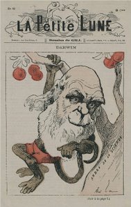 Darwin als Affe auf La Petite Lune