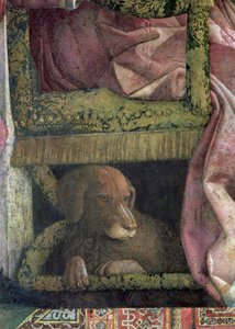 Rubino, der Lieblingshund von Marchese Ludovico Gonzaga III von Mantua und seiner Familie, aus der Camera degli Sposi oder Camera Picta (Detail) von Andrea Mantegna