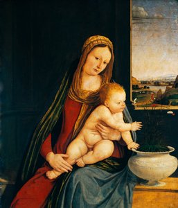 Madonna und Kind oder Madonna der Nelken von Andrea Solario