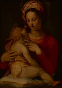 Die Madonna mit Kind von Andrea del (attr.to) Sarto