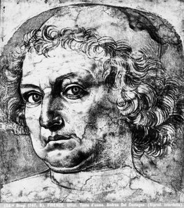 Porträt von Andrea del Verrocchio, ca. 1450