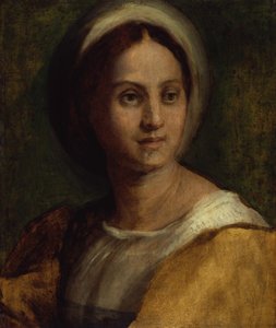 Bildnis einer jungen Frau von Andrea del Sarto