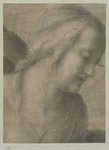 Kopf von Maria, in einer Anbetung von Andrea del Sarto