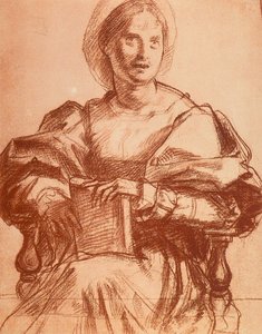 Porträt von Lucrezia del Fede von Andrea del Sarto