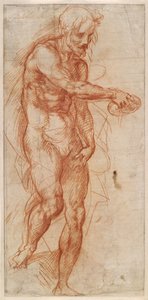 Studie des Heiligen Johannes des Täufers, ca. 1518 von Andrea del Sarto