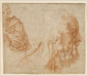  von Andrea del Sarto