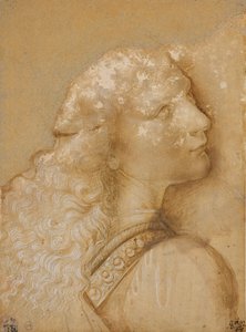Büste eines jungen Mannes, Studie für den Engel der „Taufe Christi“ von Verrocchio, ca. 1475