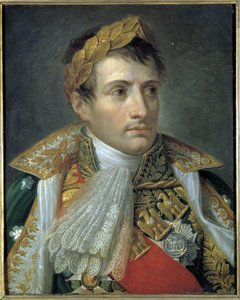 Porträt von Napoleon I. von Andrea the Elder Appiani