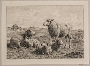 Schafe und Lämmer auf der Weide von Andreas Peter Madsen