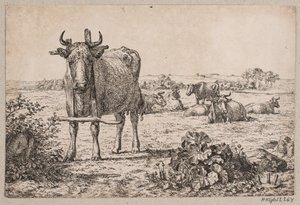 Landschaft mit Kühen