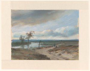 Moorlandschaft