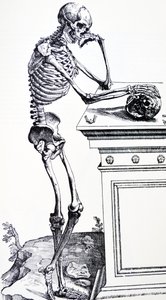Menschliches Gerippe mit Totenkopf in der Hand. Aus "De Humani Corporis Fabrica" von Vesalius. Möglicher Holzschneider: Jan von Calcar von Andreas Vesalius