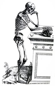 Die Platten aus dem siebten Buch der De Humani Corporis Fabrica von Andreas Vesalius
