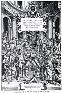 Titelseite der zweiten Ausgabe von De Humani Corporis Fabrica, Tafel 3, 1555 von Andreas Vesalius