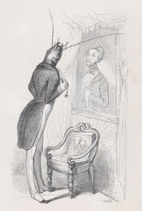 Ein sehr gut dargestelltes Insekt und eine schöne Tänzerin aus Szenen aus dem privaten und öffentlichen..., ca. 1837-47 von Andrew Best Leloir