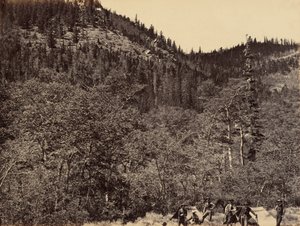 Tafel 19. Unter den Bäumen am Kopf des Little Laramie River, 1869 von Andrew Joseph Russell