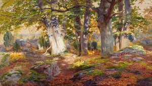 Herbstsonne nach Regen, Fontainebleau
