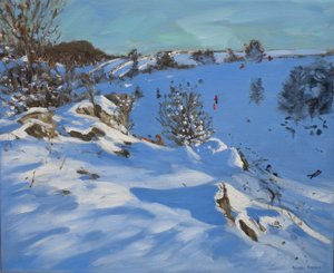 Schlittenfahrer, Youlgrave von Andrew Macara