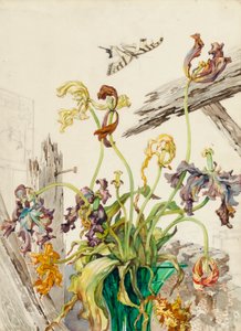 Tulpen von Andrey Avinoff