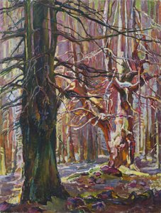 Sonnige Winterwälder