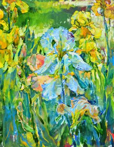 Lebendiger Irisgarten von Andrii Kutsachenko