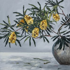 Gelbe Banksia Stillleben