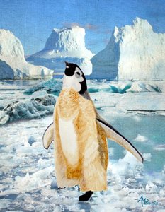 Neugieriger Pinguin auf Antarktischem Eis