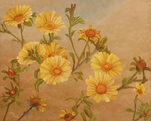 Goldene Gartenblüten